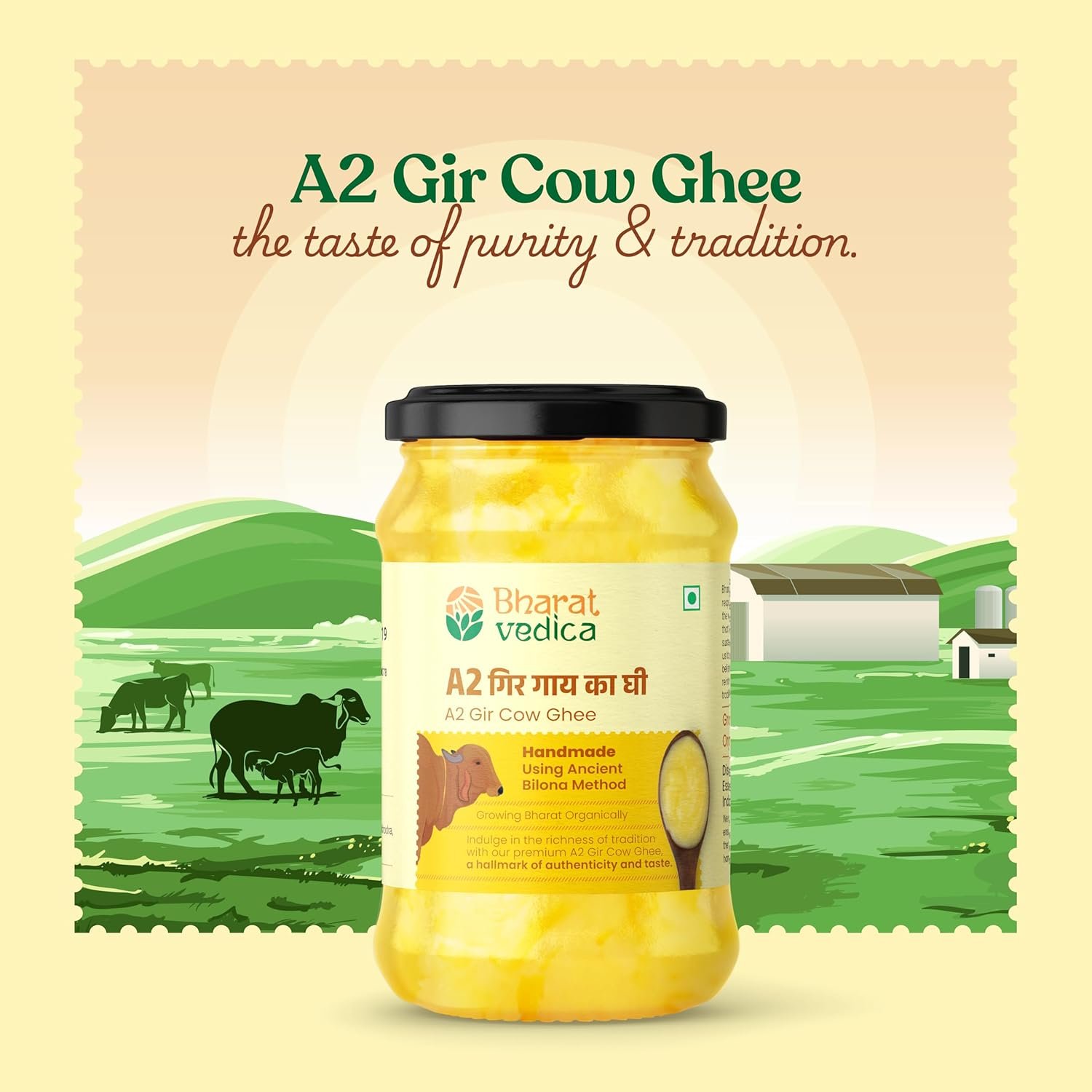 A2 Cow Ghee